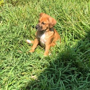 Meet your Posher, Travis